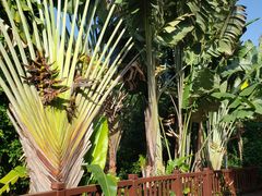 -金鸡岭桥头公园