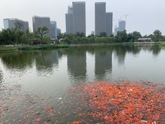 -西海子公园