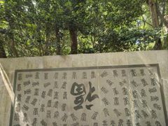 -杭州半山国家森林公园