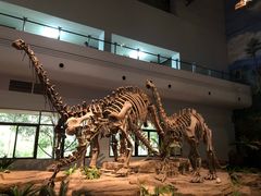 -自贡恐龙博物馆