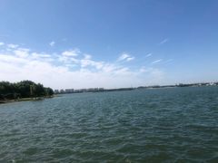 -丁香湖公园