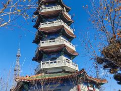 -北京十三陵国家森林公园蟒山景区