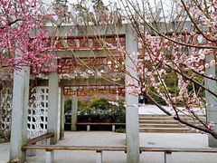-沙市市中山公园