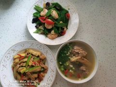 -爱月宝月嫂·育儿嫂