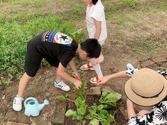 -前小桔亲子创意农场·草莓采摘·露营烧烤