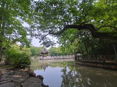 -汇龙潭