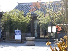 -巴巴新生活·四合院会议·疗愈团建.品牌活动