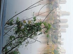 -重庆彩云湖湿地公园