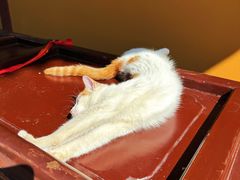 -龙华素斋(龙华路店)