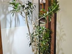 -上座云间·青年赣菜(绿茵店)