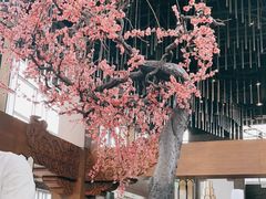 -大渔·观筵(三里屯太古里店)