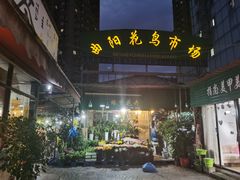 -曲阳花鸟市场(曲阳路店)
