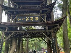-青城山