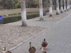 -沈阳鸟岛