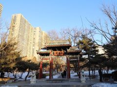 -迎泽公园