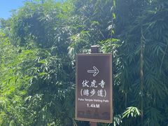 -峨眉山报国寺