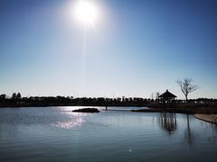 -春花秋色城市公园