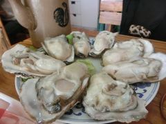 海蛎子-东镇老火锅(长春路首店)