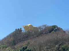 -三亚西岛海洋文化旅游区