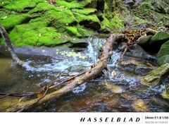 -广东罗浮山风景名胜区