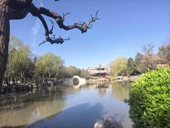 -莲池书院博物馆