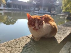 -西园戒幢律寺