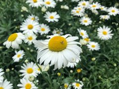 -贵阳市花溪国家城市湿地公园