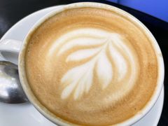 -Fern Forest Cafe