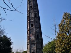 -上海佘山国家森林公园天马山园