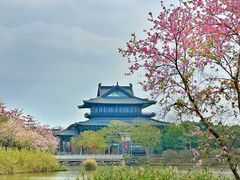 -海珠湖公园