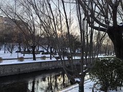 -元大都城垣遗址公园