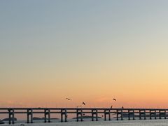 -星海湾跨海大桥