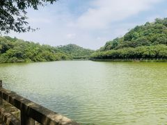 -李小龙乐园(顺德均安店)
