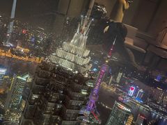-上海柏悦酒店