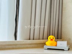 -北京康莱德酒店