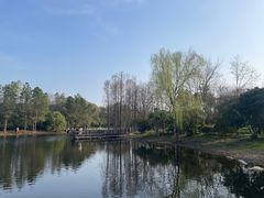 -长广溪湿地公园