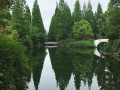 -东平国家森林公园