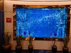 -迪拜帆船酒店海底餐厅