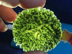 -志强陨石馆(双季花艺店)