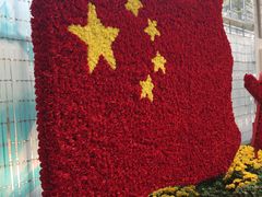 -上海鲜花港