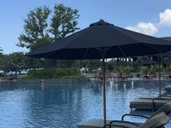 -重庆市奥林匹克体育中心-游泳跳水馆