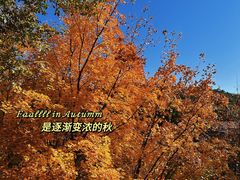 -龙庆峡风景区