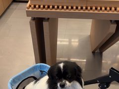 -崎本的店·专业酵种吐司(无锡万象汇店)