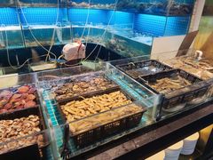 水产区-九月海·海鲜自助(世纪东方店)