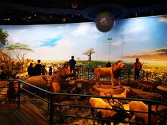 -陕西自然博物馆