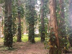 -广东外语外贸大学(白云山校区)