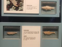 -舟山博物馆