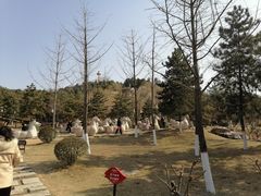 -王府井奥莱临潼小镇(临潼店)