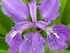 -永定河休闲森林公园