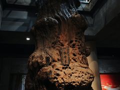 -乐山乌木文化博览苑